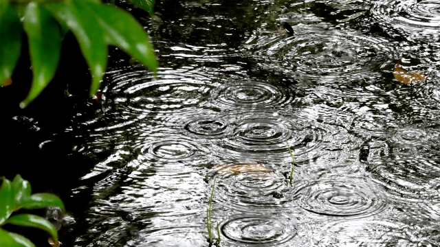 雨