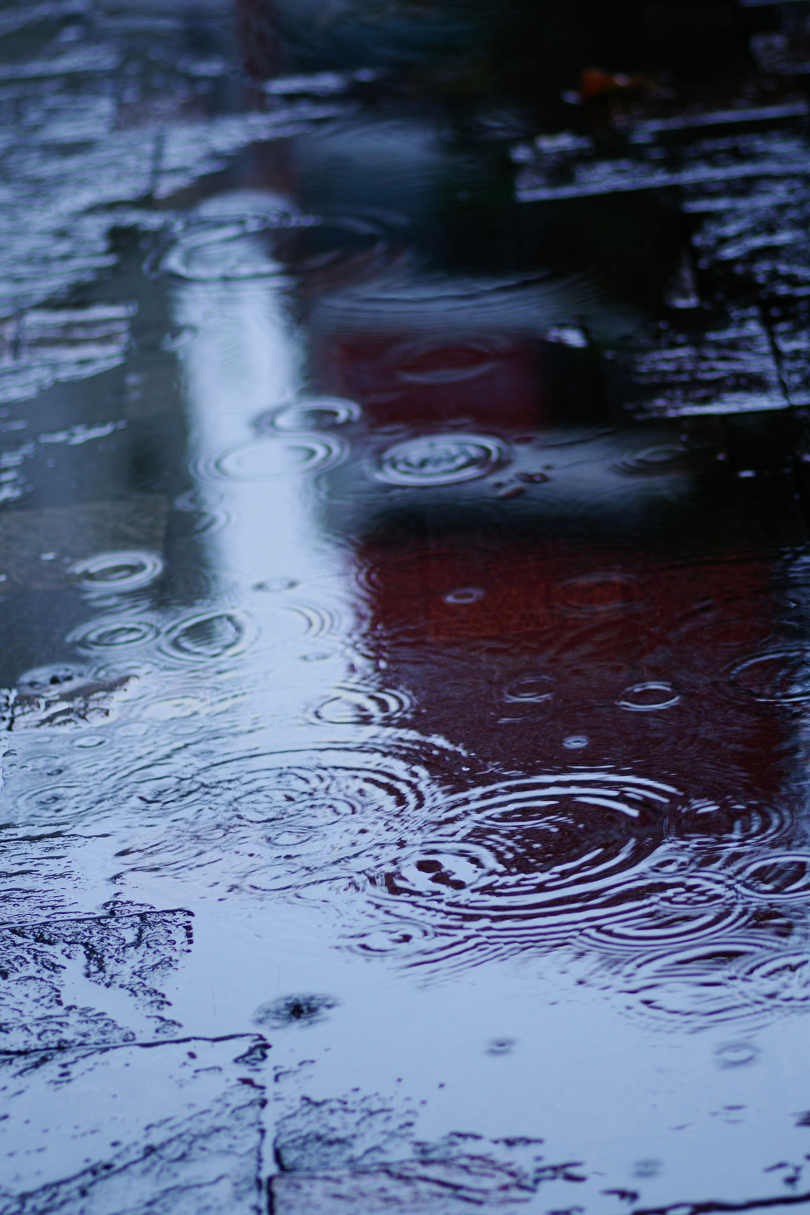 雨が降った地面